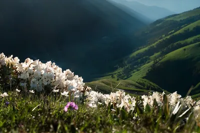Весна в Архызе. Photographer Aleksandr Zharnikov