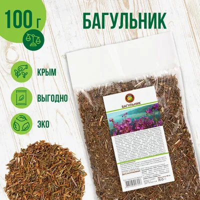 Багульник болотный чай травяной сбор фиточай целебные травы 100 гр — купить  в интернет-магазине OZON с быстрой доставкой