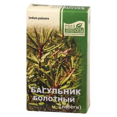 Багульник болотный трава Камелия - купить в Москве | Фитоаптека Био-Профи