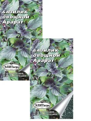 Семена Базилик овощной Арарат (0,3 г) 2 пакета Элитагро 15320728 купить в  интернет-магазине Wildberries