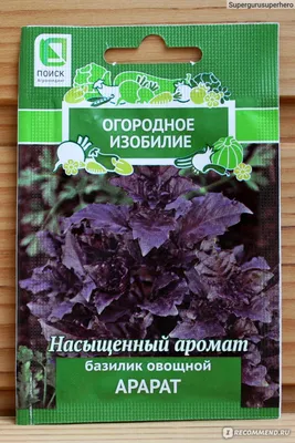 Семена Поиск Базилик овощной Арарат фиолетовый - «Базиликовая плантация в  Подмосковье. Фиолетовый базилик из семян на подоконнике. Итальянский шик на  окне многоэтажки. Выращиваю и ем.» | отзывы