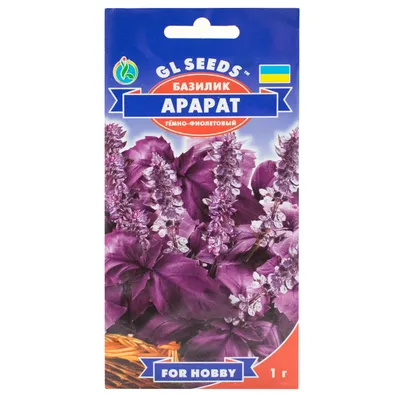 Базилик Арарат фиолетовый 1 г Gl Seeds - купить по лучшей цене в  Днепропетровской области от компании \"Agroretail.com.ua\" - 1075106016