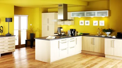 Моющаяся краска для стен кухни: какую выбрать?