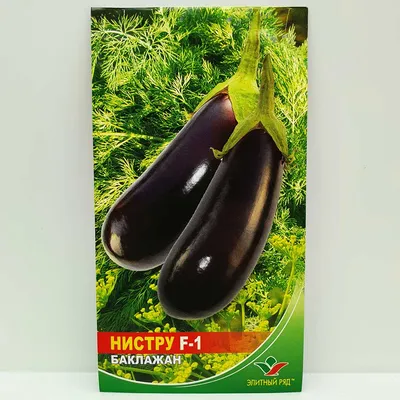 Баклажан Нистру F1 0.3 г (Элитный Ряд) Семена баклажана | Интернет магазин  Агро-Качество