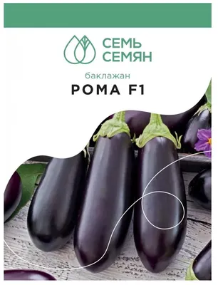 Семена 7 семян баклажан Рома F1 5шт — купить в интернет-магазине по низкой  цене на Яндекс Маркете