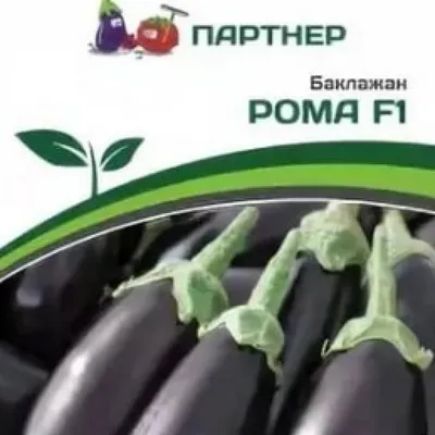 Баклажан Рома F1 - фото урожая, цены, отзывы и особенности выращивания