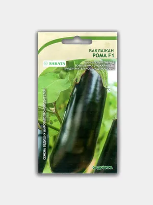 Баклажан Рома F1 (семена) Sakata за 45 ₽ купить в интернет-магазине  KazanExpress