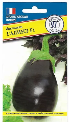 Семена Баклажан «Галинэ» F1 в Москве – купить по низкой цене в  интернет-магазине Леруа Мерлен