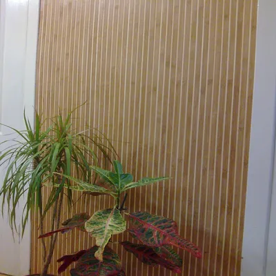 Как клеить бамбуковые обои на стену: инструкция и советы - YouTube