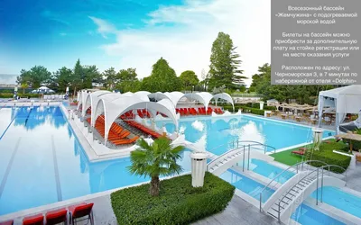 Гостиницы Сочи с бассейном с морской водой. Лучший отдых в отеле «Dolphin  Resort by Stellar Hotels, Sochi»