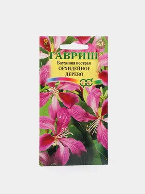 Баухиния \"Орхидейное дерево\" семена цветов за 89 ₽ купить в  интернет-магазине KazanExpress