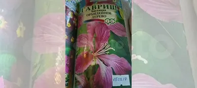 Баухиния(Орхидейное дерево) купить в Новосибирске | Товары для дома и дачи  | Авито