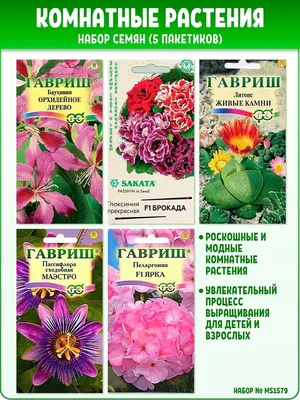 Семена комнатных цветов, 5 пак Гавриш 27032755 купить в интернет-магазине  Wildberries