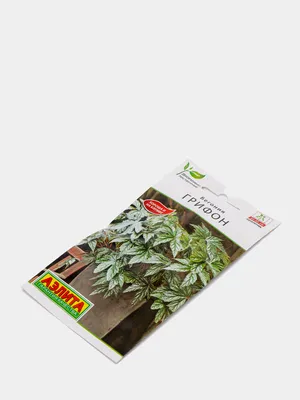 Бегония Грифон 3шт (семена, цветы) за 200 ₽ купить в интернет-магазине  KazanExpress