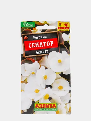 Бегония вечноцветущая Сенатор белая F1 (семена, цветы) за 50 ₽ купить в  интернет-магазине KazanExpress