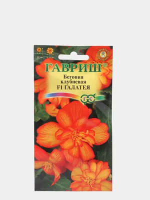 Семена Бегония клубневая ампельная Галатея F1 за 61 ₽ купить в  интернет-магазине KazanExpress