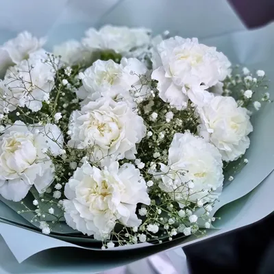 Белая гвоздика с гипсофилой, Цветы и подарки в Москве, купить по цене 3642  руб, Монобукеты в Saflor Flowers с доставкой | Flowwow