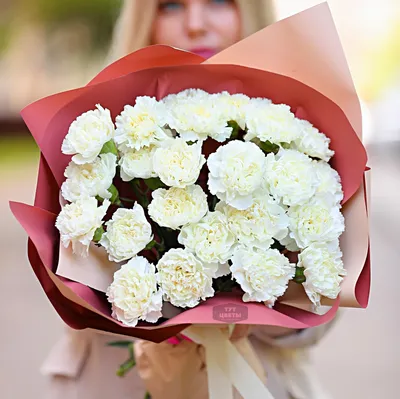 21 белая гвоздика - Доставкой цветов в Москве! 21153 товаров! Цены от 487  руб. Цветы Тут