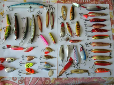 Рыбалка на Сахалине и Дальнем Востоке