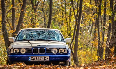 Обои классика, фары, 525, bmw, e34, тюнинг, осень, листья, бмв на рабочий  стол