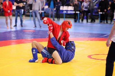 В Волгограде на юбилеях самбо отберут бойцов в сборную области - 8 ноября  2018 - v1.ru