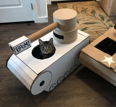 Боевые коты захватывают дома своих хозяев в картонных танках | Ололо -  смешные картинки и веселые истории