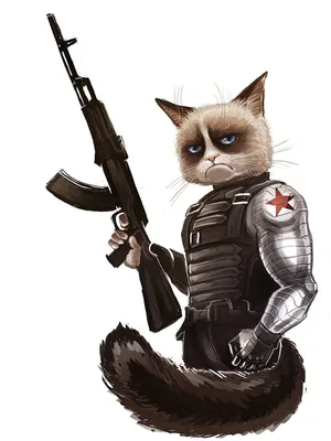 Боевые котята - 52 фото
