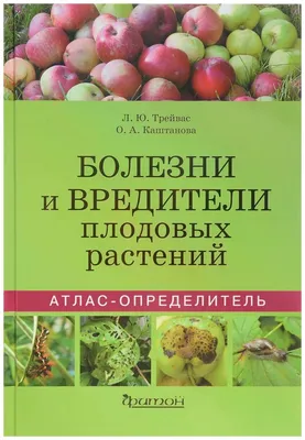 Основные болезни зернобобовых и биологические особенности их возбудителей /  Агро-Матик | Новости АПК