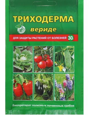 Хэлп садоводы. Слива болеет | Пикабу