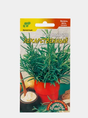 Семена розмарина \"Лекарственный\" за 49 ₽ купить в интернет-магазине  KazanExpress