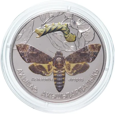 Монета Абхазия 3 апсара 2021 Бабочки Абхазии - Бражник мертвая голова  стоимостью 2550 руб.