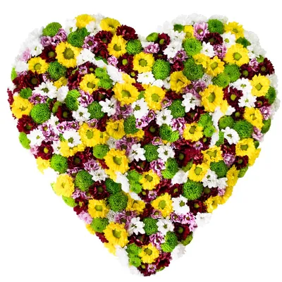 Сердце из цветов №4 - хризантемы Сантини по цене 9075 ₽ - купить в  RoseMarkt с доставкой по Санкт-Петербургу