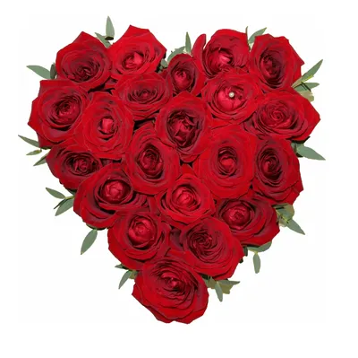 Букеты : Букет в форме сердца (21 роза)