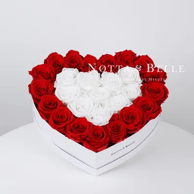 Стабилизированный букет в виде сердца серии - Love №981 из 25 красных и  белых роз в белой коробке Premium | Notta\u0026Belle