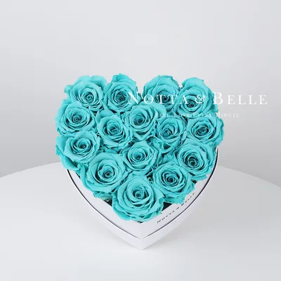 Стабилизированный букет в виде сердца серии - Love №841 из 15 бирюзовых роз  в белой коробке Mini | Notta\u0026Belle