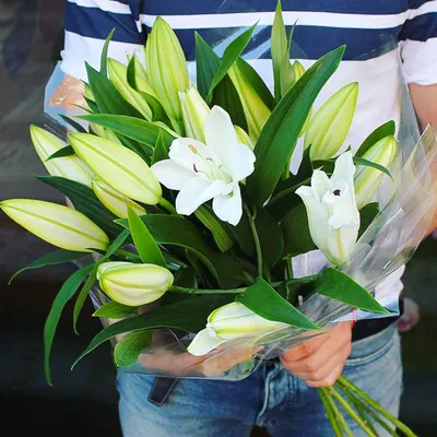Букет 3 белоснежных лилий с доставкой в Новосибирске. Служба доставки  цветов и подарков - FLO365