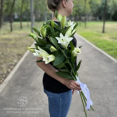 Букет 3 лилии Белая красавица купить за 3 150 руб. с круглосуточной  доставкой по Москве | Мосцветторг