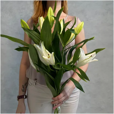 Букет из 3 белых лилий (голландия), перевязанных атласной лентой. — купить  в интернет-магазине по низкой цене на Яндекс Маркете