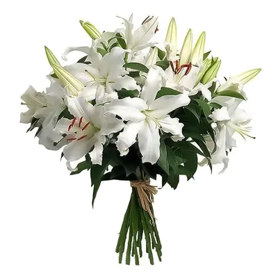 Букет из белых Лилий (3 лилии), Цветы и подарки в Мурманске, купить по цене  1490 руб, Монобукеты в Розарио. Цветы с доставкой | Flowwow