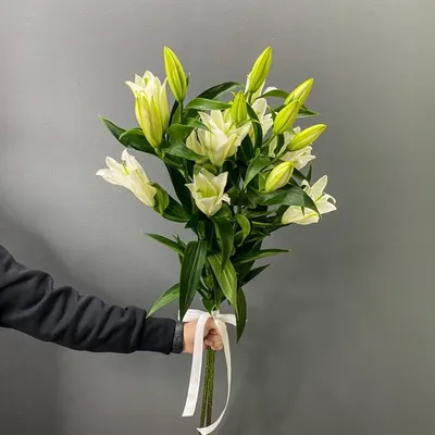 Букет из 3 белых лилий, Цветы и подарки в Омске, купить по цене 2210 руб,  Монобукеты в Цветы Luxe с доставкой | Flowwow
