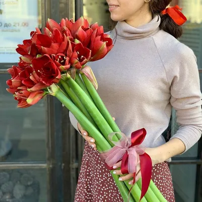 9 красных амариллисов в букете | Бесплатная доставка цветов по Москве