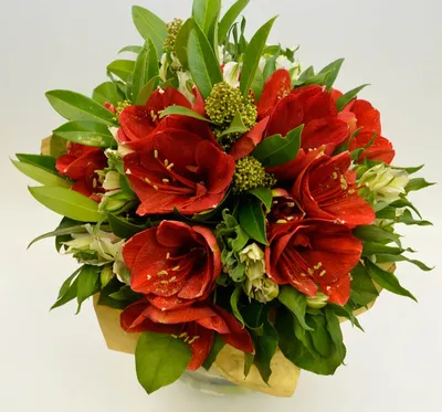 Букеты амариллисов 🎕 - купить цветы в интернет-магазине с доставкой по  Москве, цены