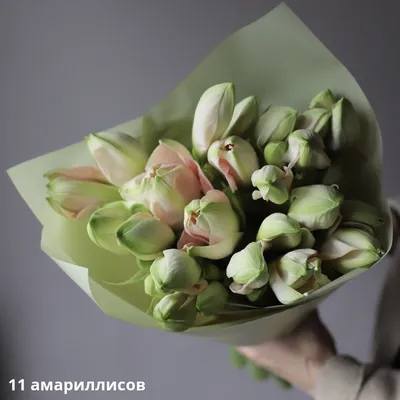 Букет из розовых амариллисов - заказать доставку цветов в Москве от Leto  Flowers