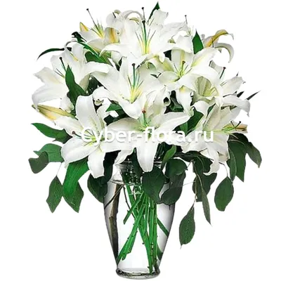 Классический букет из белых лилий: цена, заказать с доставкой по Черемхово  в интернет-магазине Cyber Flora®