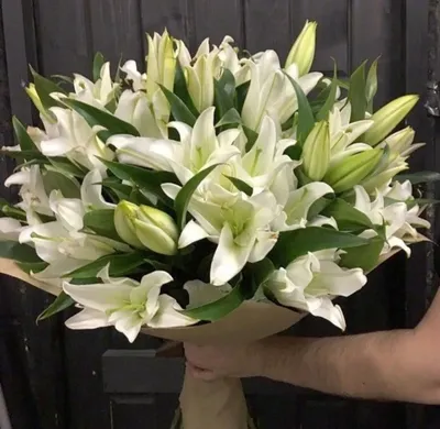 Букет из 19 белых лилий (Z2066) | Give Flowers