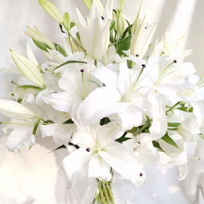 Букет из 9 белых лилий, Цветы и подарки в Москве, купить по цене 5999 руб,  Монобукеты в GiveFlowers с доставкой | Flowwow