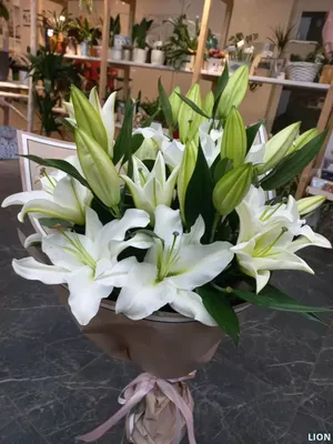 Букет из 7 белых лилий купить в Минске - LIONflowers