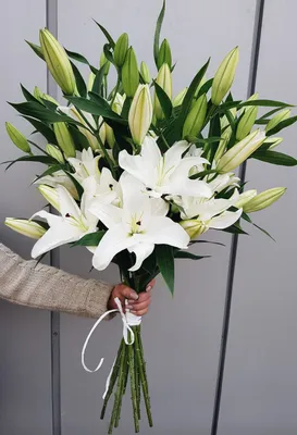 Заказать Букет из 11 белых лилий в Омске | Магазин цветов «\u200eЛеаФлор»