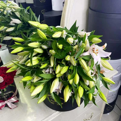 19 белых лилий в букете | Бесплатная доставка цветов по Москве