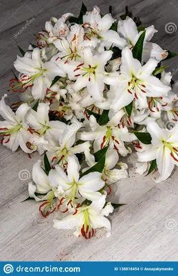 Букет белых лилий на предпосылке пола Стоковое Фото - изображение  насчитывающей свеже, цветки: 138818454